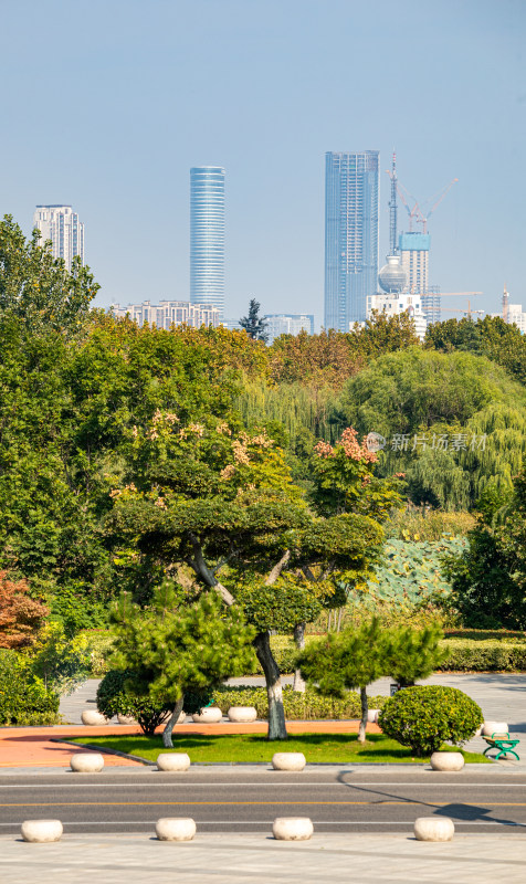 城市公园绿树与远处高楼景观