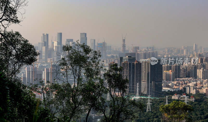 深圳南山区都市建筑风光