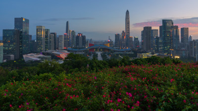 广东深圳莲花山市民中心城市天际线