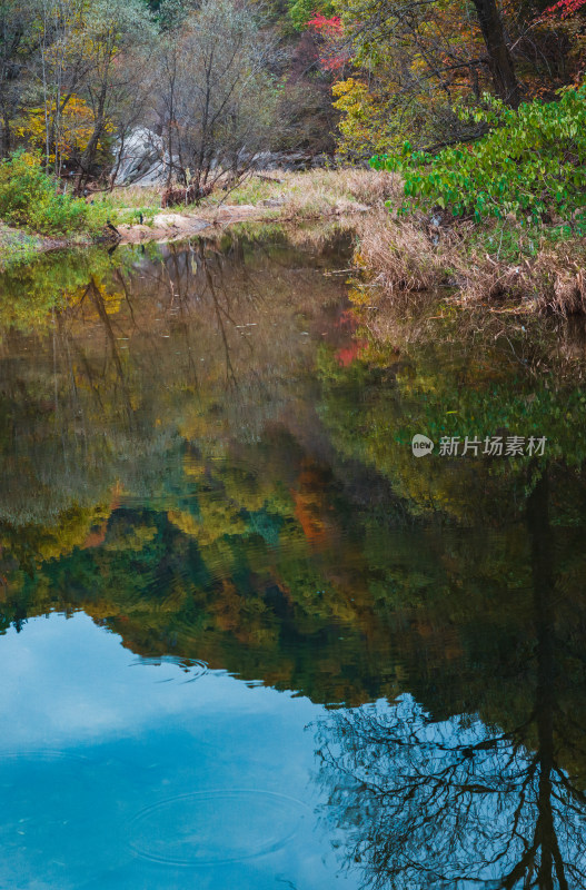 河南省洛阳白云山九龙潭秋天风景