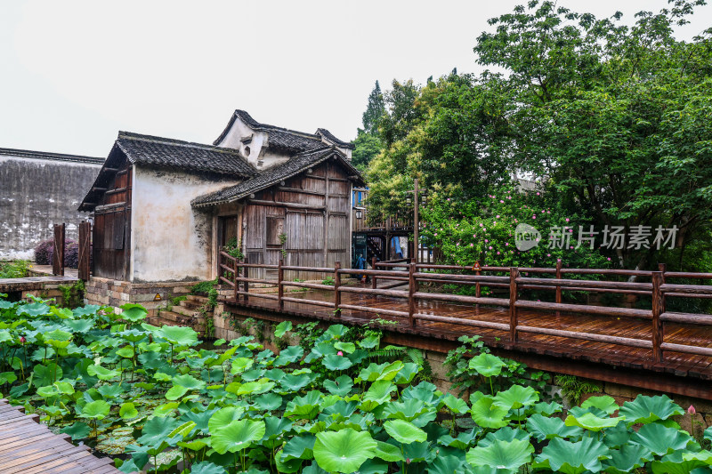 梅雨季的乌镇西栅美景