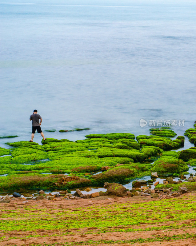 一个人站在布满绿藻的海岸