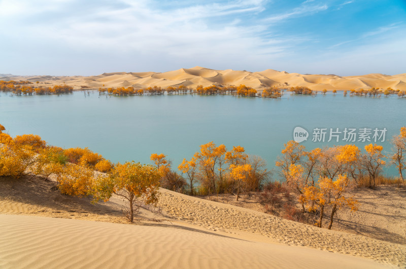 秋天的新疆尉犁县葫芦岛风景