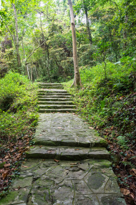 林间石砌步道自然风光