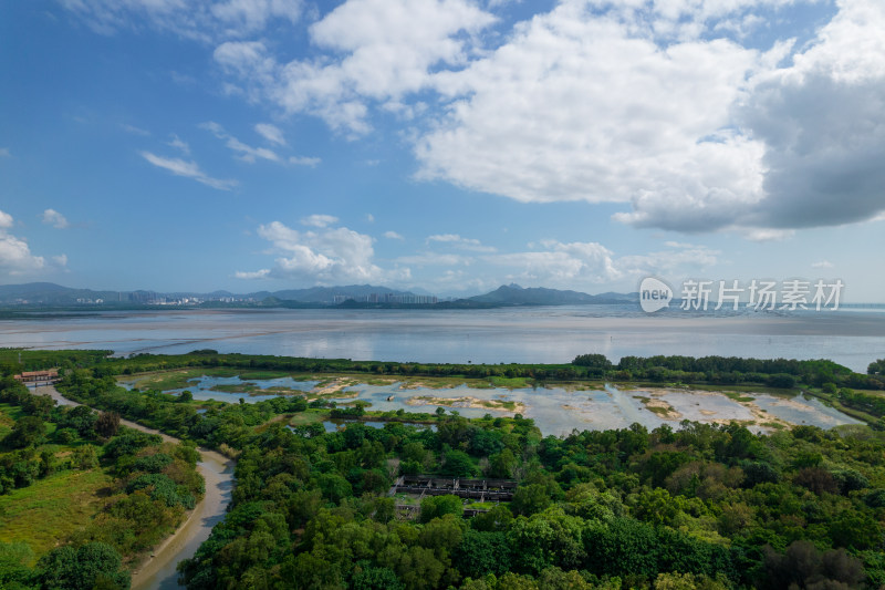 深圳福田红树林保护区