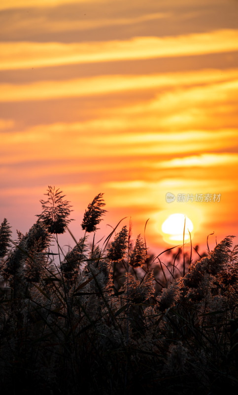 湖面夕阳落日风光