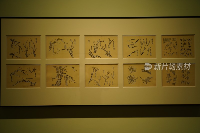 四川成都市天府美术馆展览的珍贵艺术字画