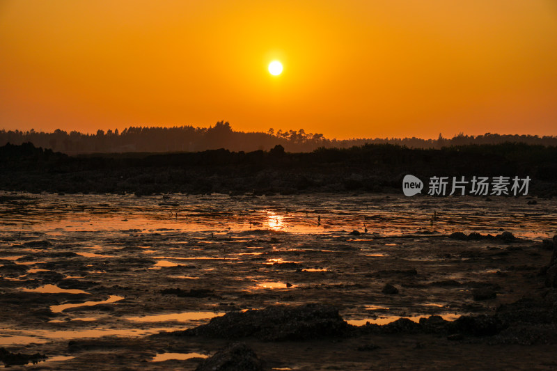 夕阳下的泥滩自然景象