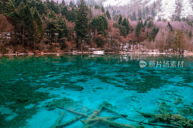 川西九寨沟冬季雪山碧蓝海子唯美