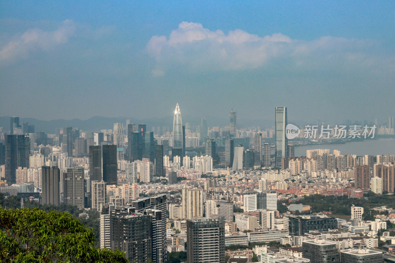 深圳南山区都市建筑风光