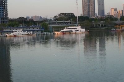 东平河东平大桥晚霞