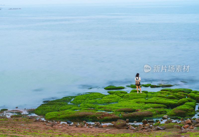 绿藻布满岩石的海岸边站着一位少女