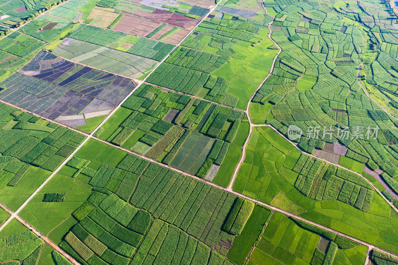 中国云南大理沙溪田园风景