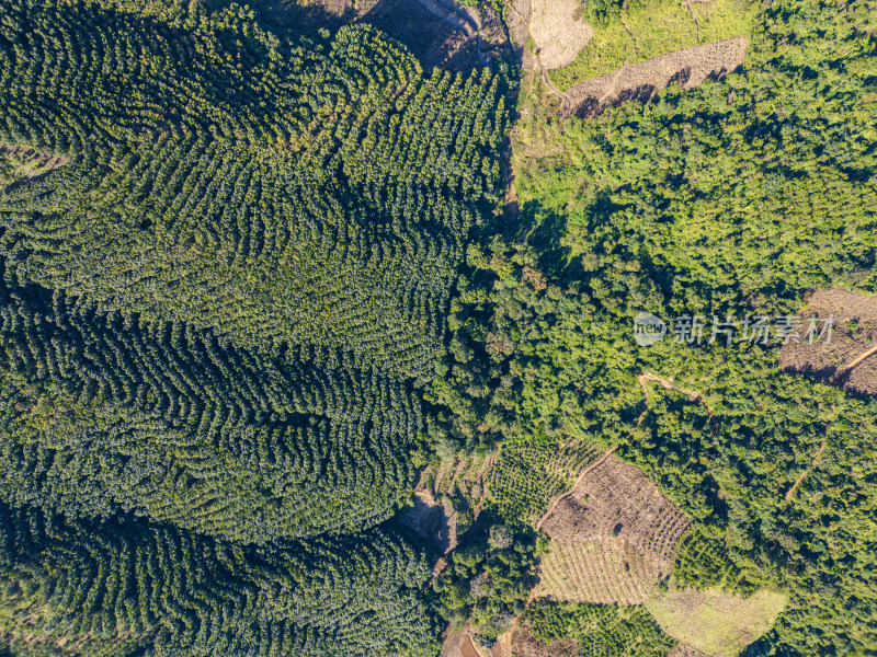 航拍绿意盎然的连绵起伏的山地景色