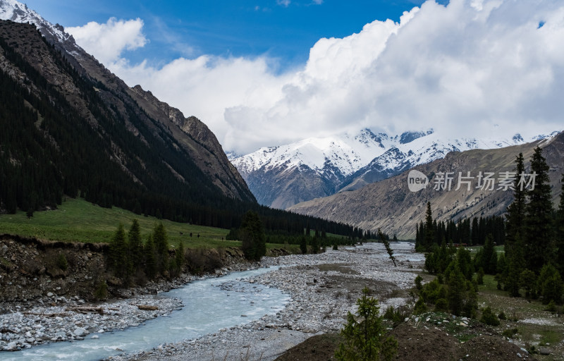 新疆伊犁蓝天白云下的雪山草原森林和小溪