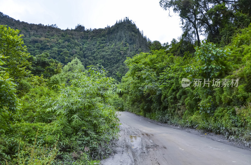 西藏318国道川藏公路通麦天险山谷自然景观