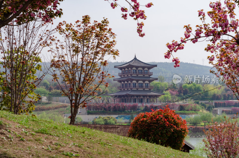 渭南南湖公园春天风景