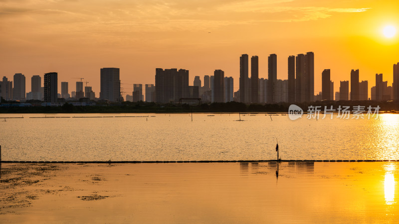 湖北武汉金银湖的落日