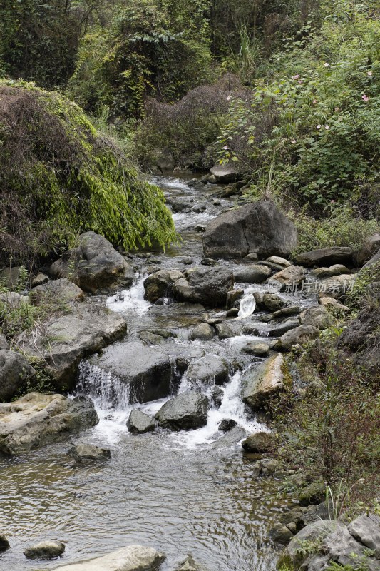 山间溪流与岩石绿植景观