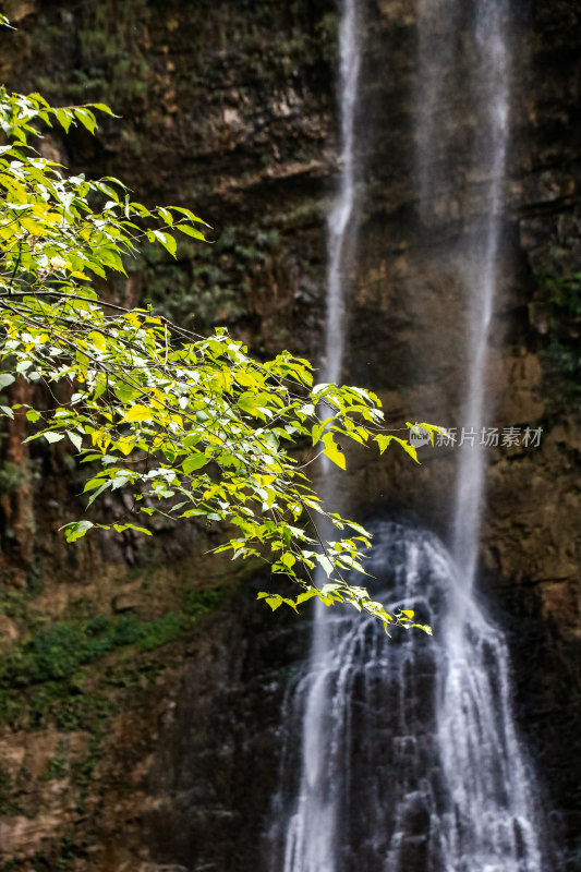 湖北宜昌三峡竹海风景区，自然风光，竹海