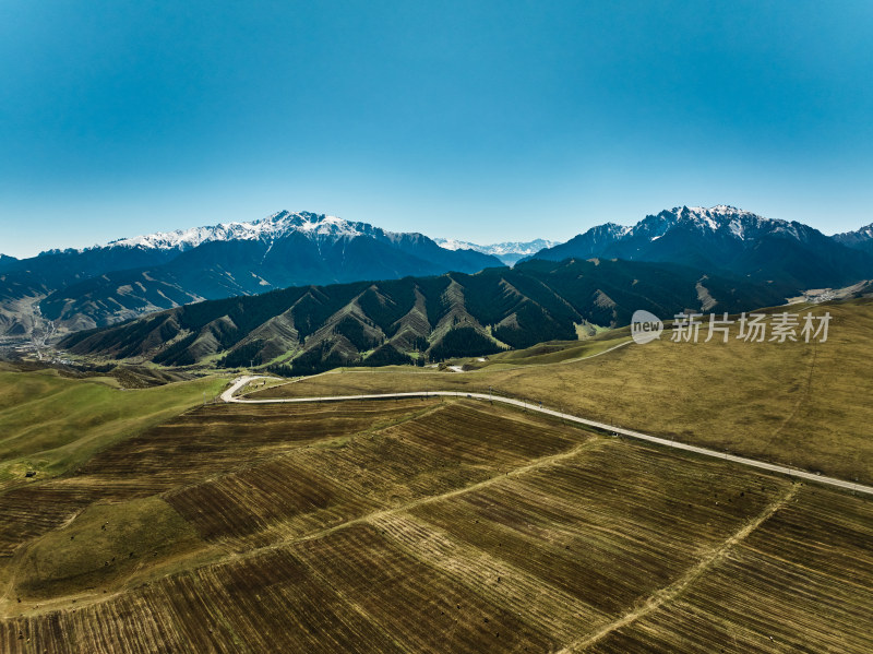 雪山下的草原森林