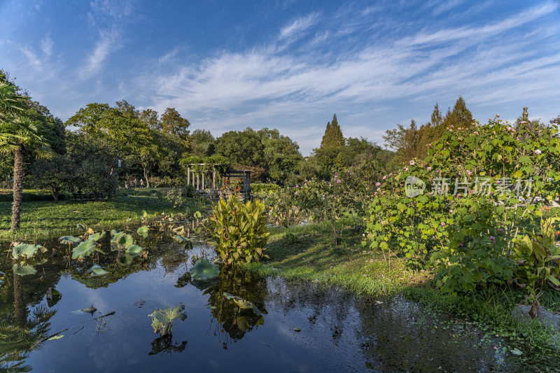 杭州西子湖畔杭州花圃风景