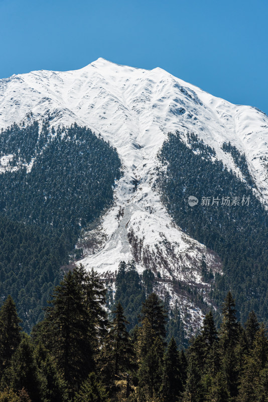 西藏林芝雪山原始森林秘境 巴松措与新措