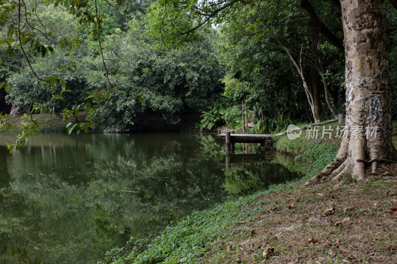 广州番禺大夫山森林公园