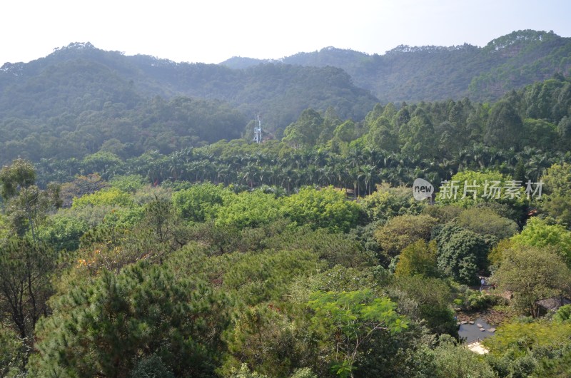 广东东莞：东城街道城市风光