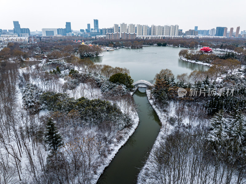 洛阳隋唐植物园雪景