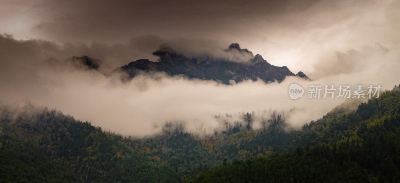 云雾中的森林山峰虎头山