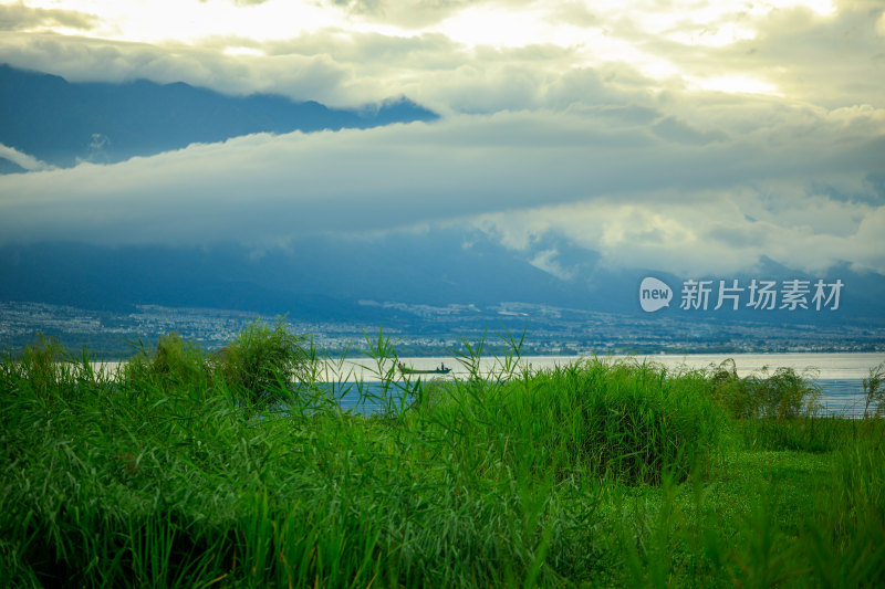 湖边草地与远山云雾风景