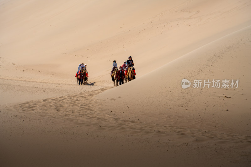 沙漠骆驼队