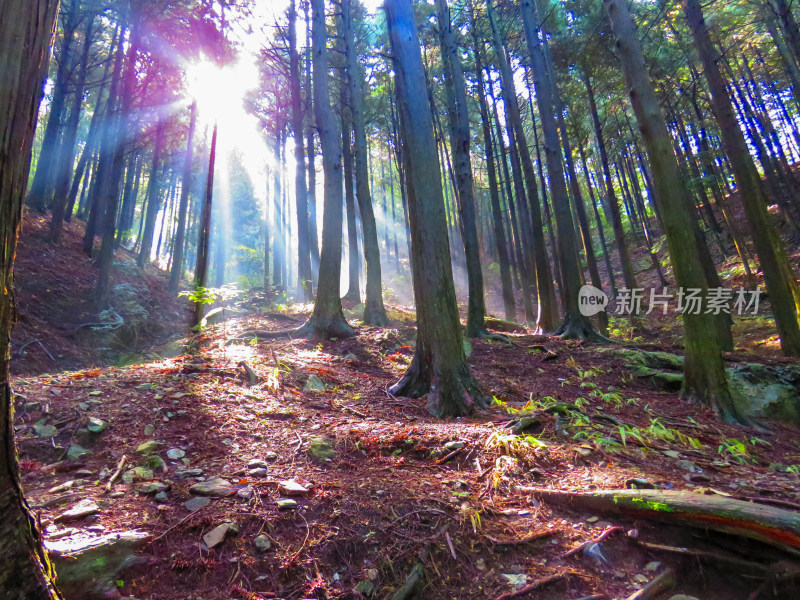 中国江西九江庐山旅游风光