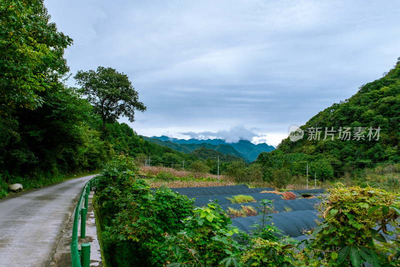 汉中留坝火烧店镇秦岭深处的山中小路