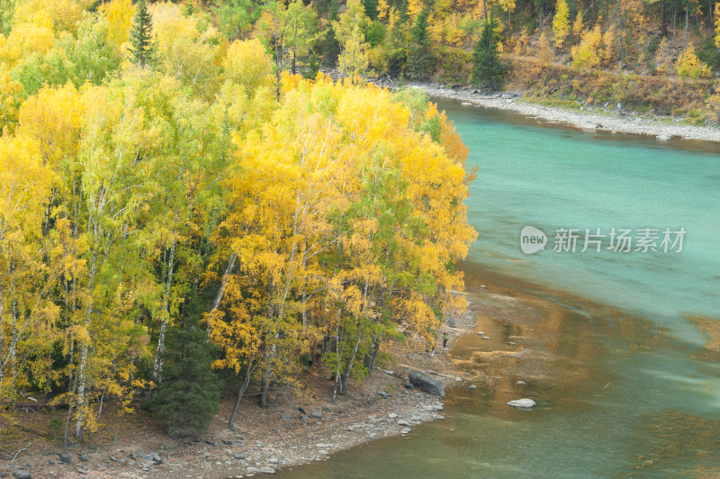 新疆省阿勒泰市布尔津县喀纳斯景区金秋摄影