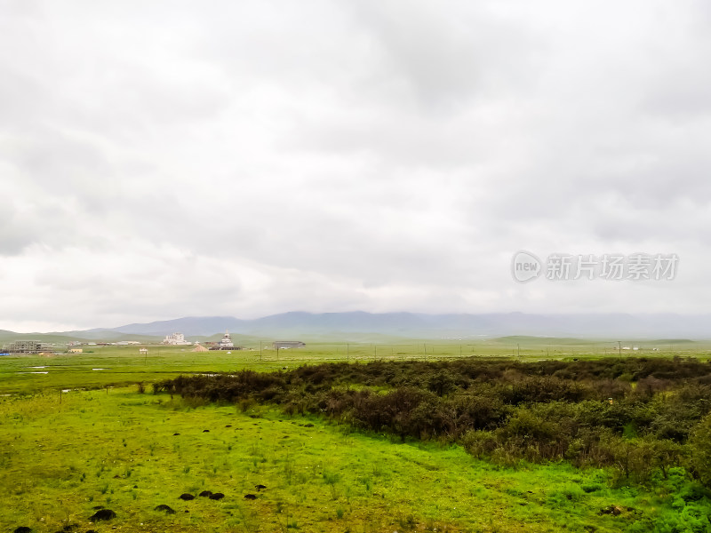 六月的青海湖风景