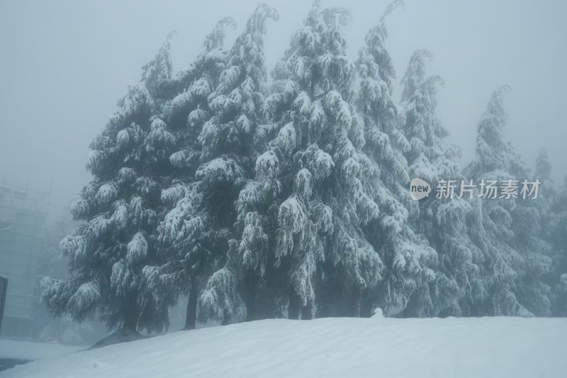 大山披雪装，冰雪盛景韵悠长