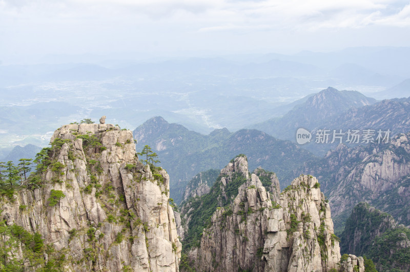 黄山松崖绝壁 猴子观海 险峻山峦 峰峦叠嶂