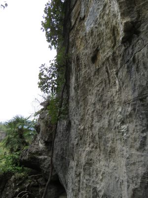 湖北恩施梭布垭石林旅游风光