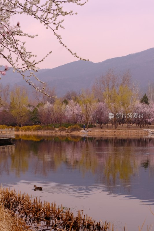 风景系列