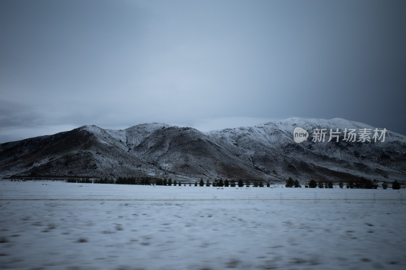 Lake Tekapo蒂卡波湖农场雪景