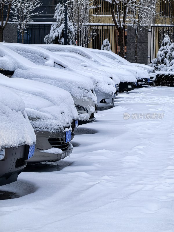 户外停车场被积雪覆盖的一排车辆