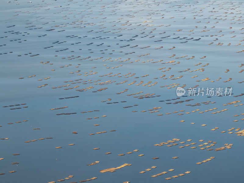 深圳南山前海海面养植物环境航拍