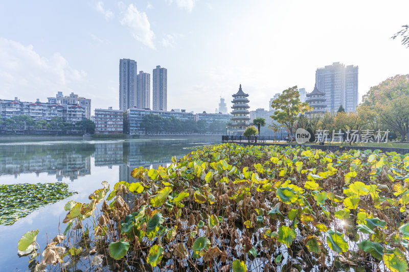 武汉江岸区宝岛公园风光