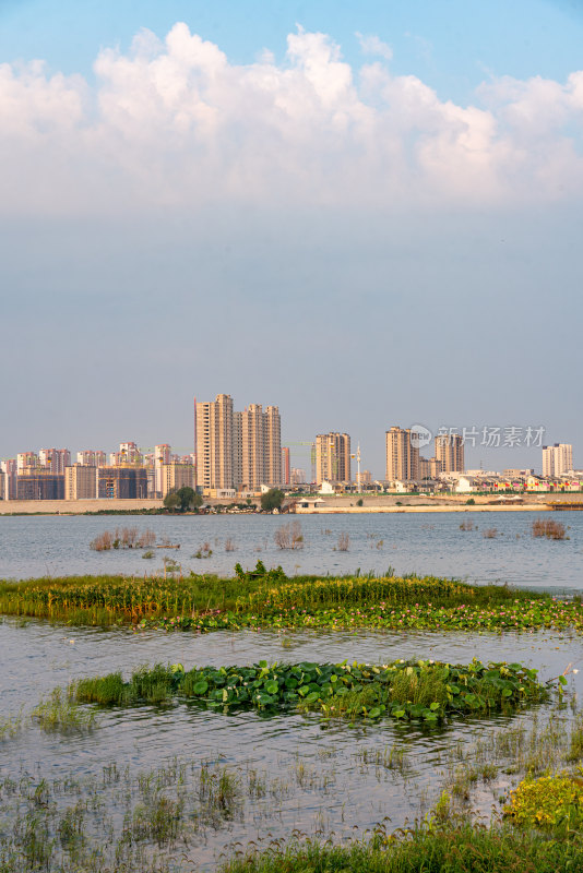 夏天的邹城孟子湖湿地湖泊自然景观