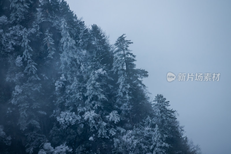 神农架神农顶冬季雪景