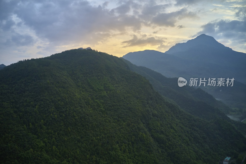 金佛山的清晨