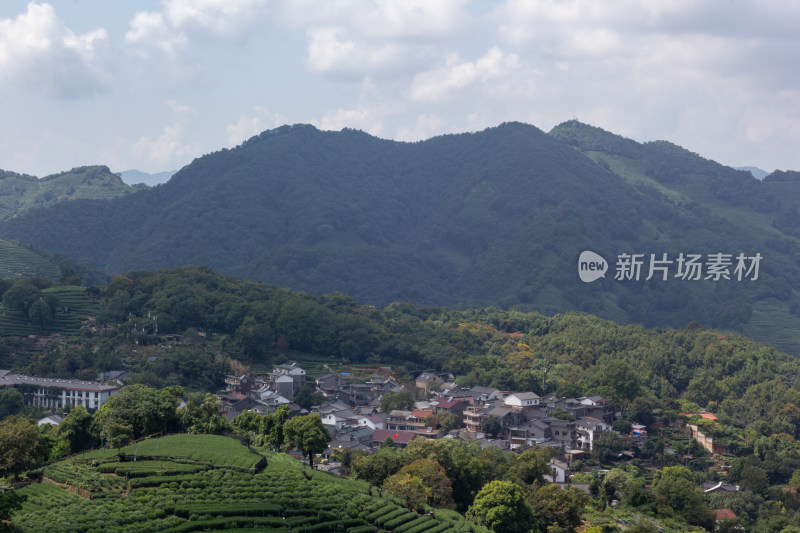 杭州南高峰俯瞰青山茶园自然风光