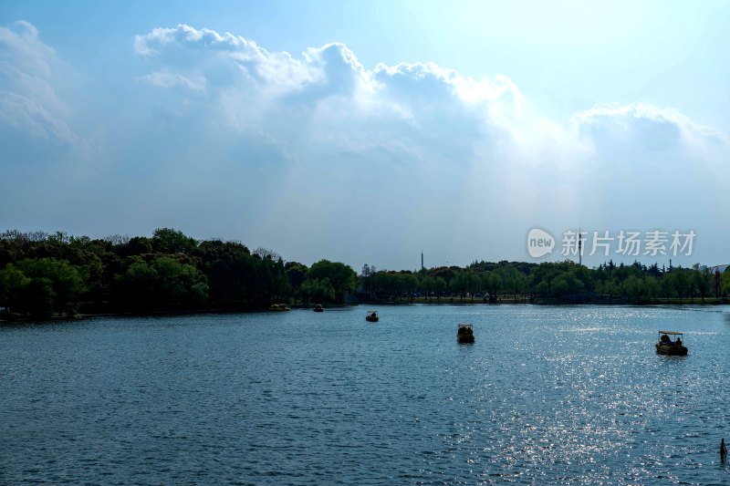 湖面游船及岸边树林风景